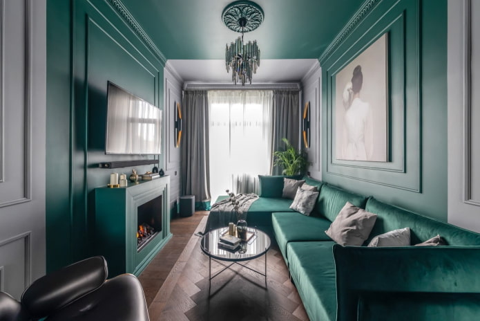 Narrow living room