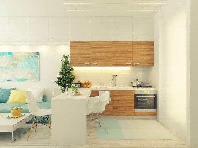 Design project of a studio of 29 sq. m.
