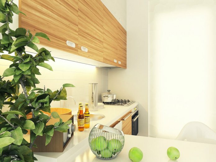 kitchen in the design project of a studio of 29 sq. m.