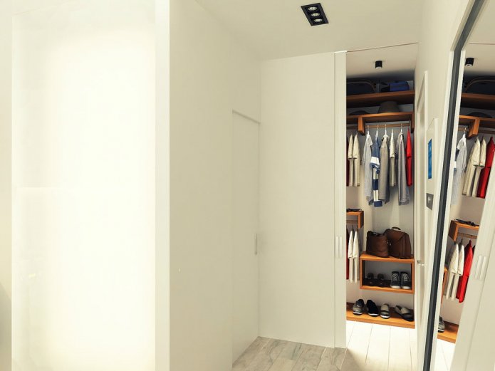hallway in the design project of a studio of 29 sq. m.