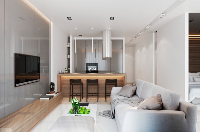 rectangular kitchen-living room of 20 square meters
