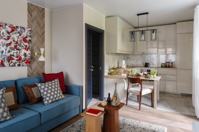 rectangular kitchen-living room of 20 square meters