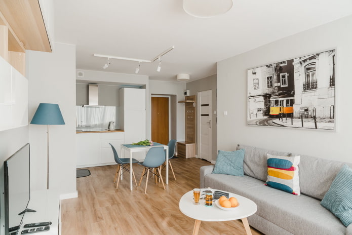 interior design of a kitchen-living room of 20 squares