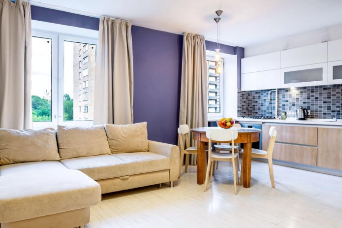 interior design of a kitchen-living room of 20 square meters