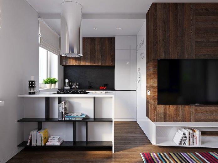 kitchen in the design of a 31 sq. m. apartment