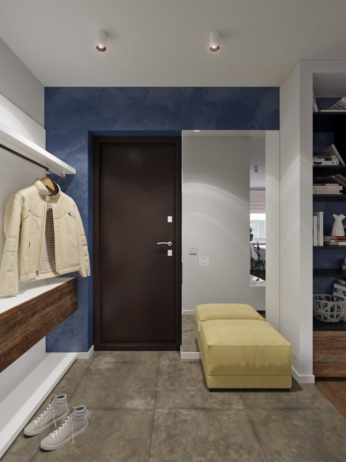 hallway in the design of a studio of 31 sq. m.