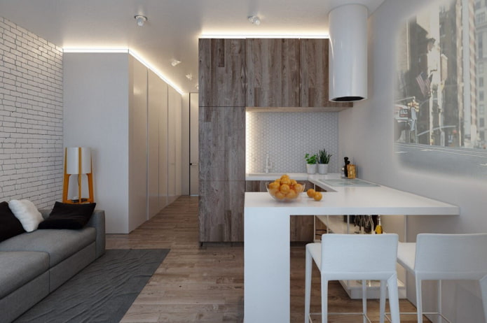 Kitchen-living room design