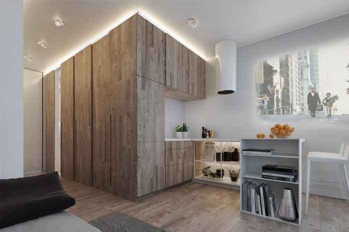 32 sq m apartment design