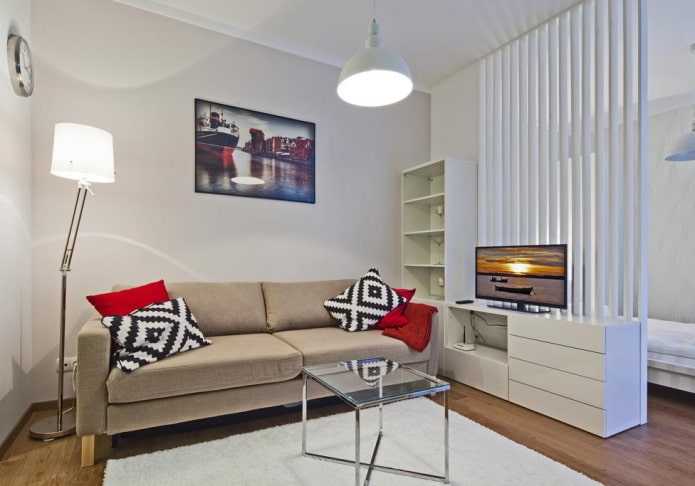 zoning of a 36-square-meter apartment