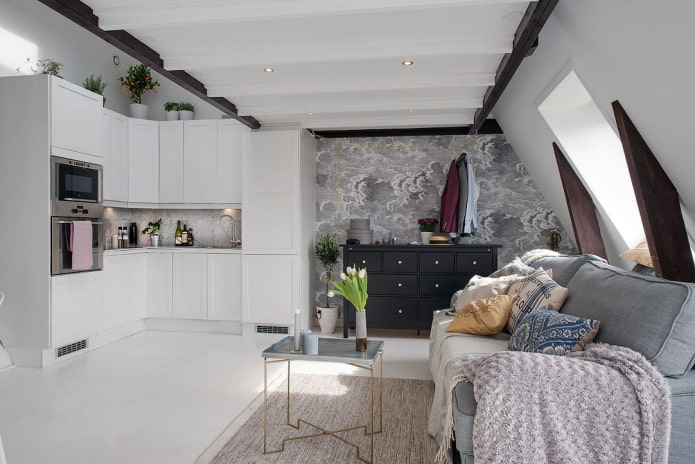 36 square meter apartment layout