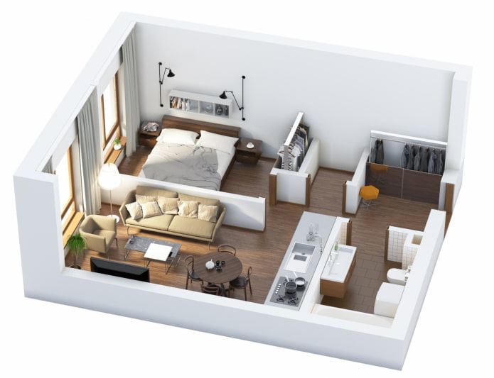 Euro-style two-room apartment with kitchen-living room