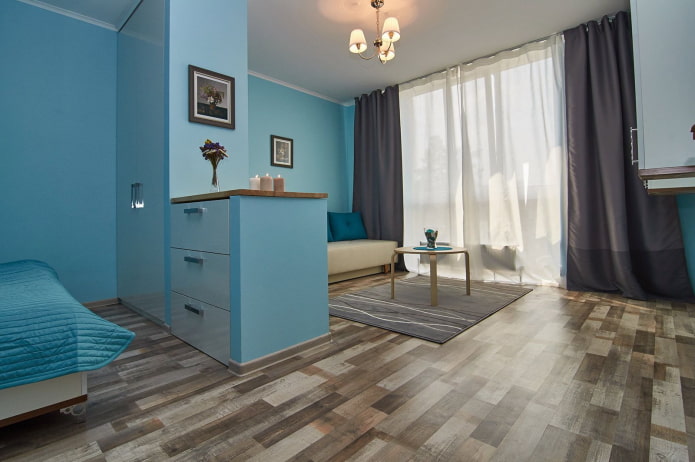 Living room-bedroom