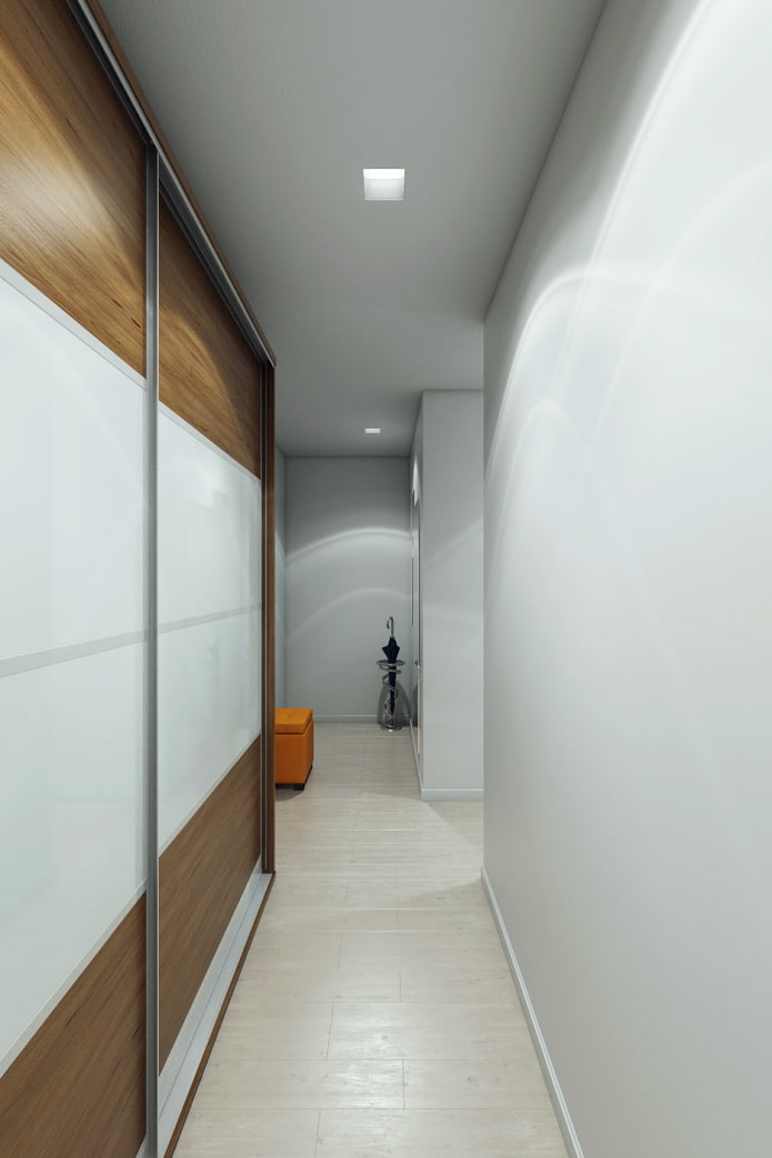 Hallway in an apartment of 46 m