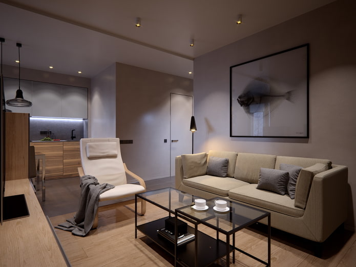 interior of a one-room apartment of 50 square meters