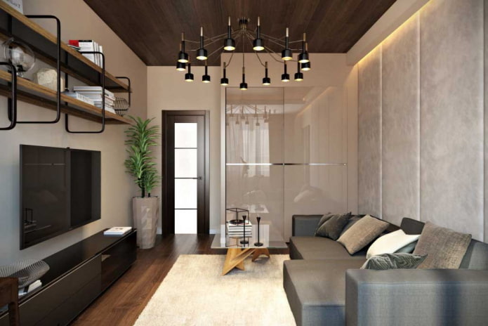 living room interior in a 50 square meter apartment