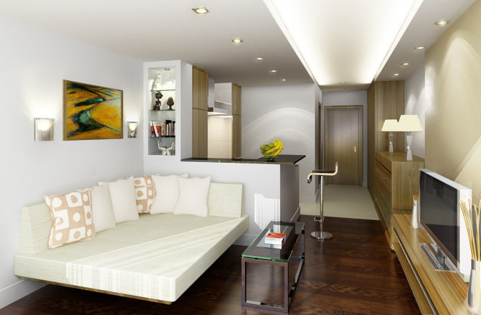 studio 18 sq. m.