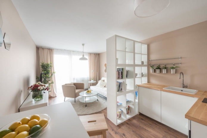 zoning in the interior of a studio apartment