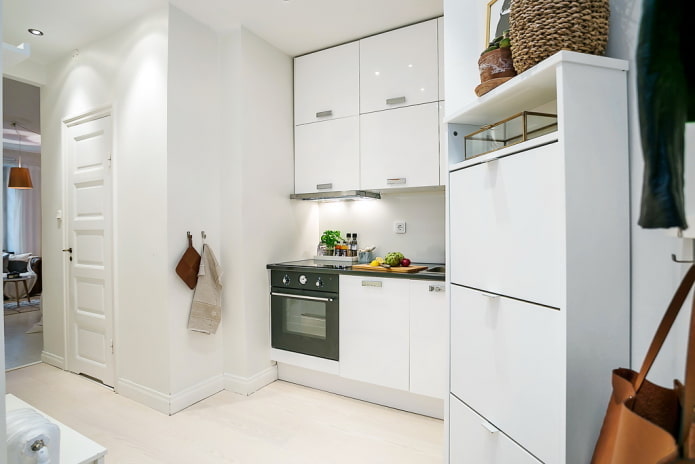 kitchen in the interior of a studio apartment