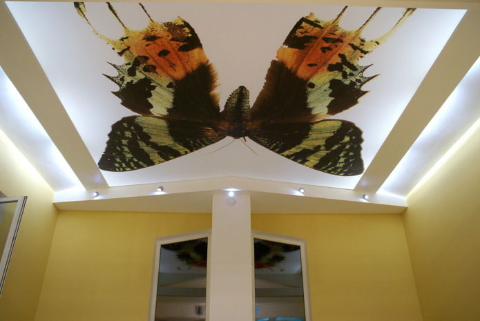 ceiling with a butterfly