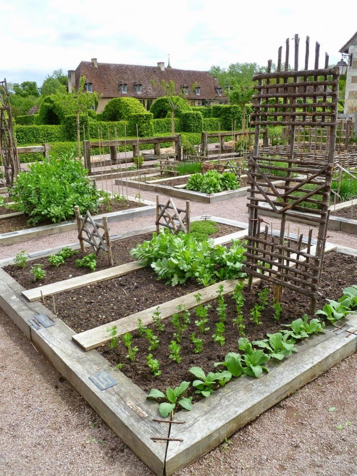 garden vegetable garden area