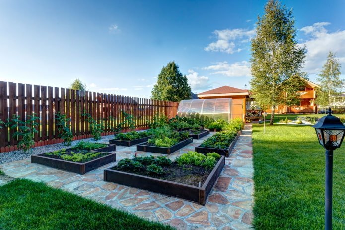 vegetable garden at the dacha