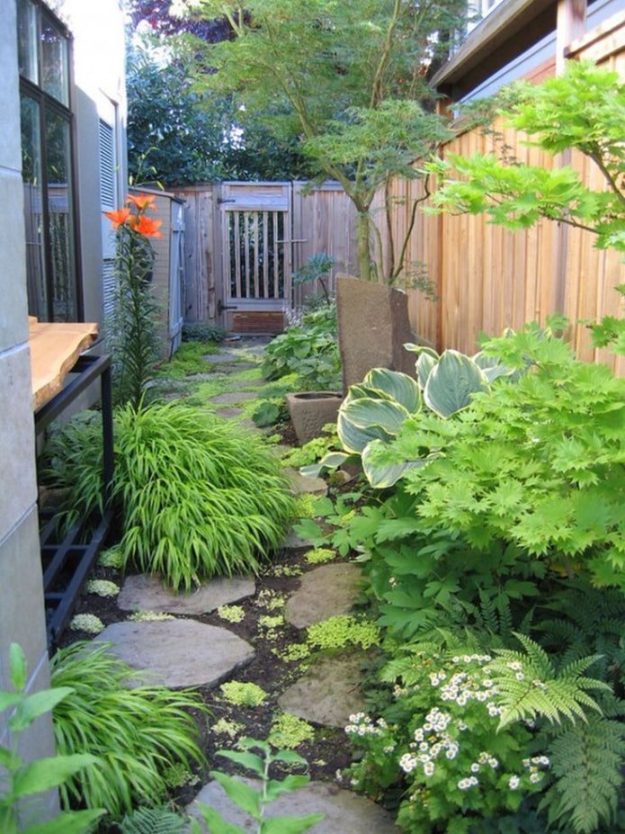 passage between the house and the fence
