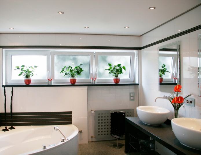 frosted windows in the bathroom