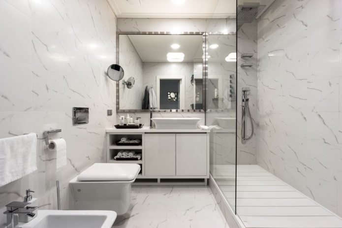 color scheme of a combined bathroom