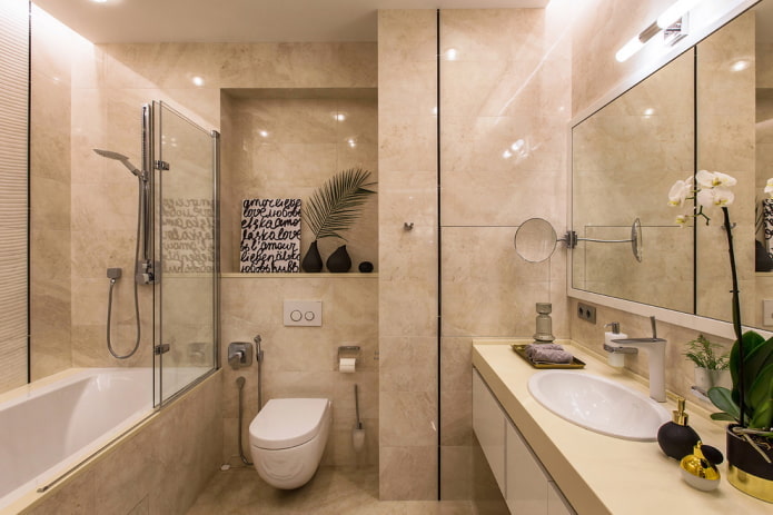 color scheme of a combined bathroom