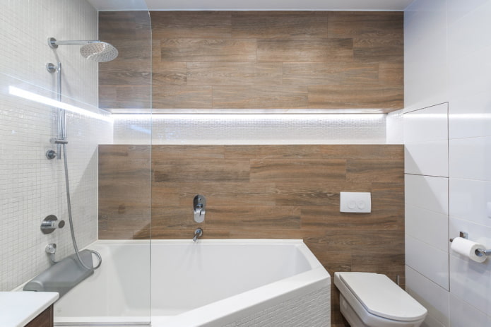 combined bathroom interior design