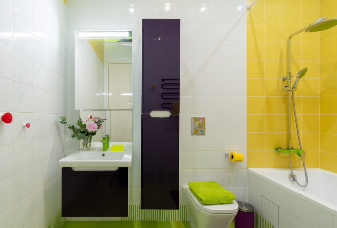 combined bathroom interior design