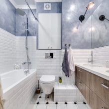 Interior of a bathroom combined with a toilet-2