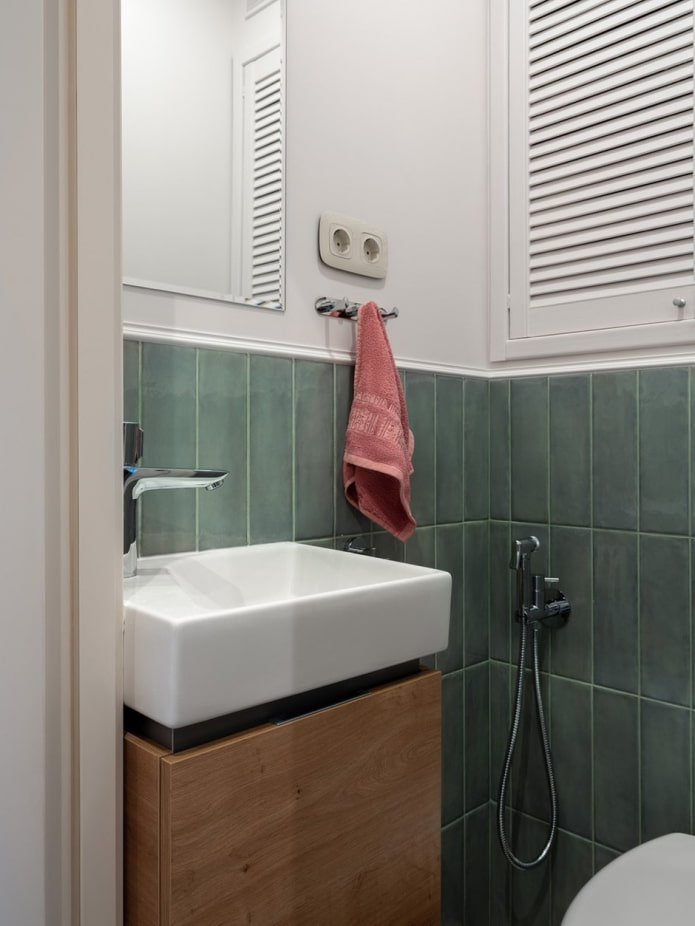 Guest bathroom