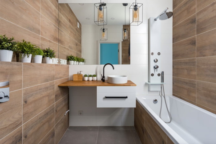 countertop in the bathroom