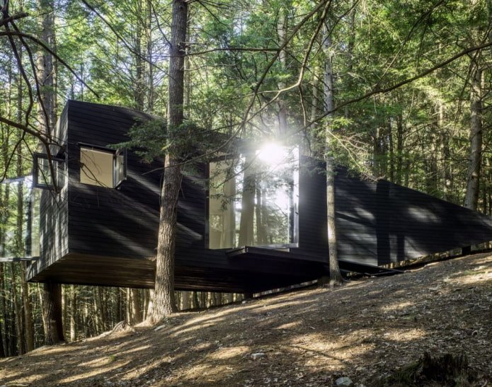 House among the pines