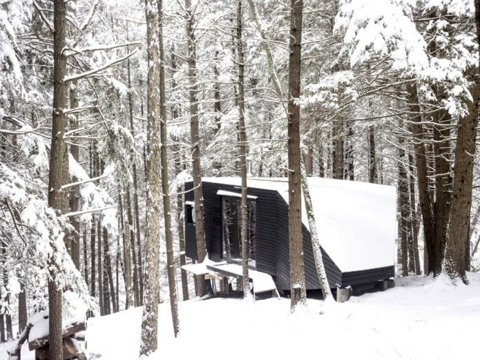 House in Winter