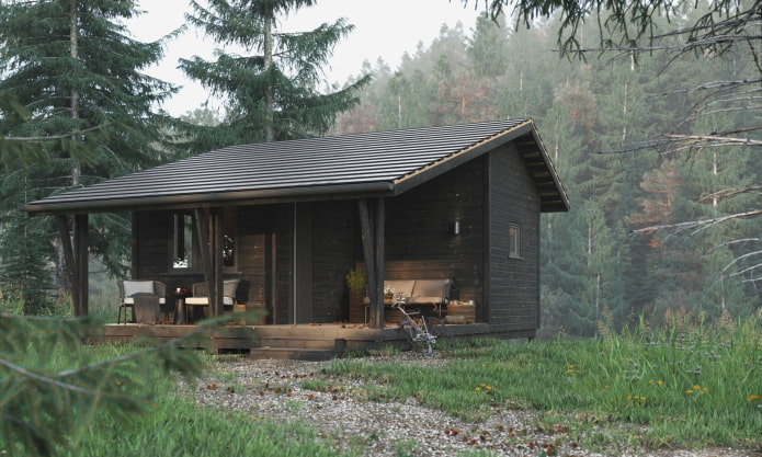 small house in Scandinavian style