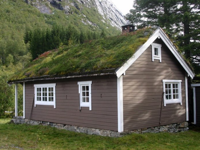 roof finishing of the house in Scandinavian style