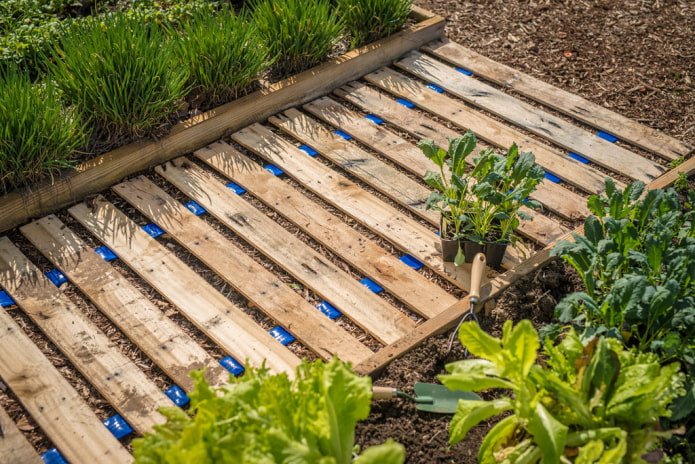 path between beds made of boards