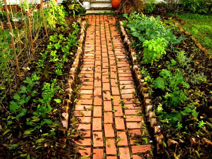 brick path between beds