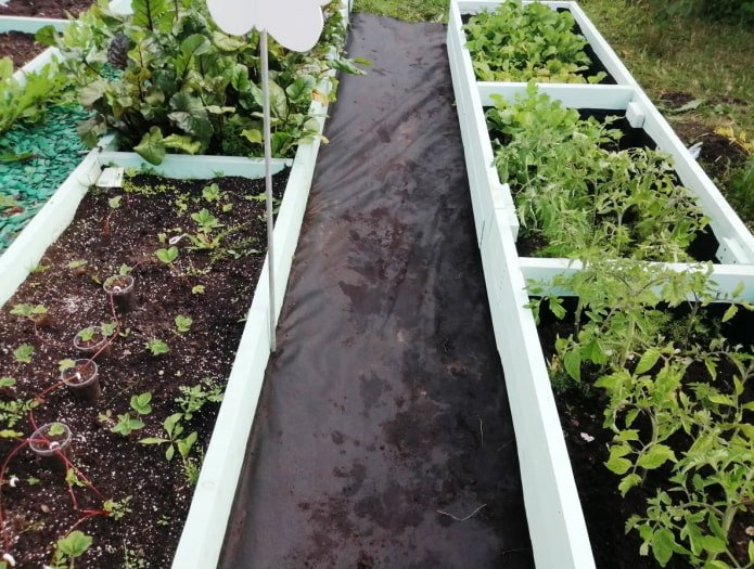 path between beds made of agrofibre
