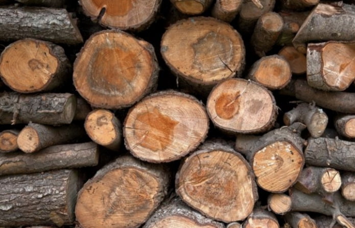 Fruit tree firewood