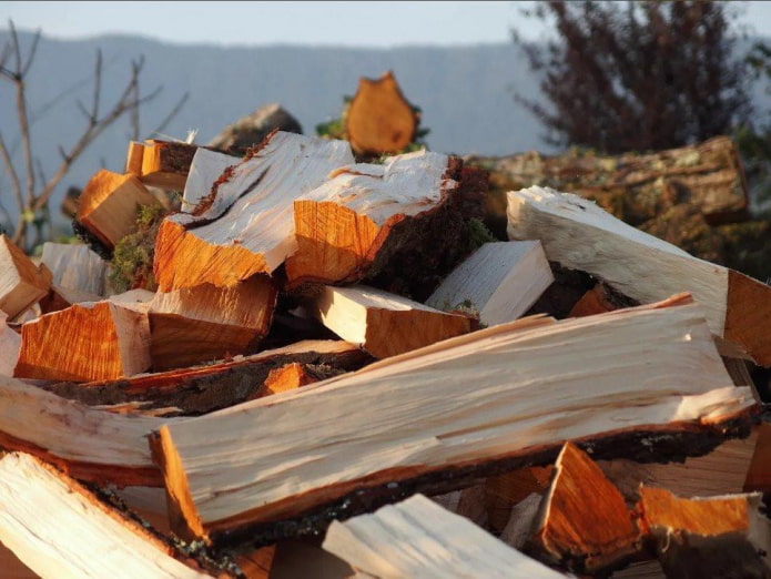 Characteristic shade of alder logs