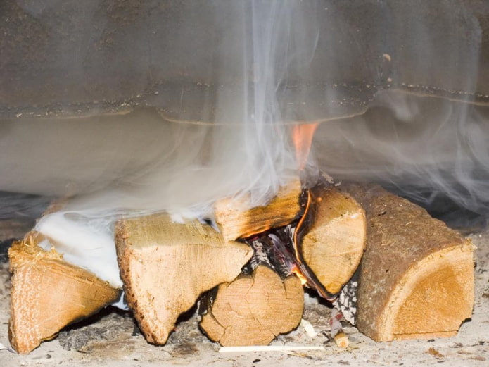Raw logs in the stove