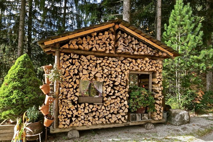 unusual woodshed