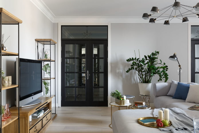 black doors in the living room interior