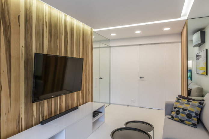 white doors in the living room interior