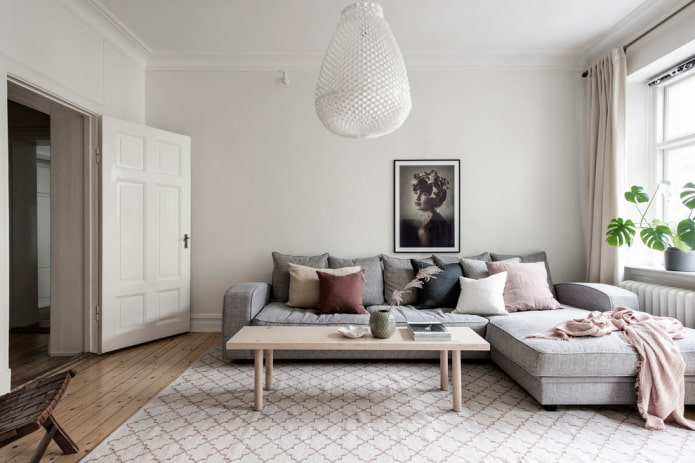 paneled door in the living room interior
