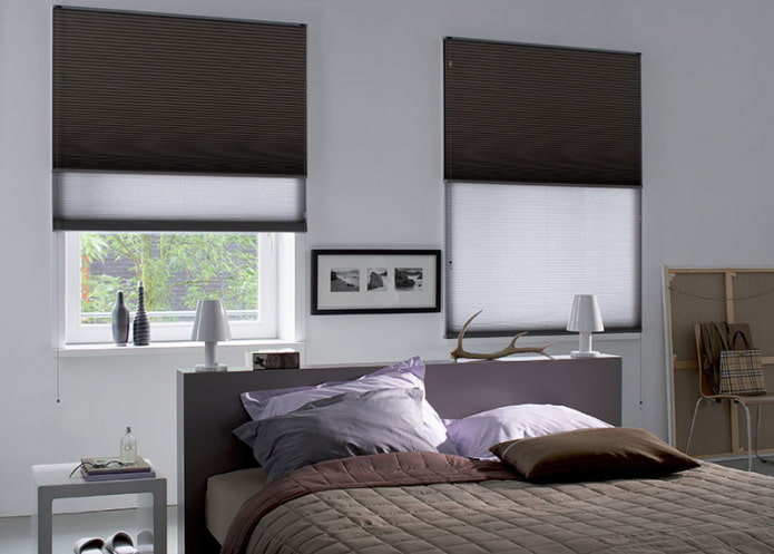pleated blinds in the interior