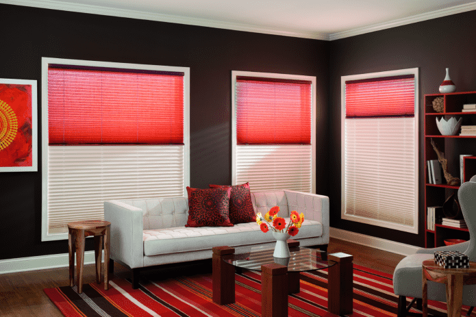 color combination on pleated blinds